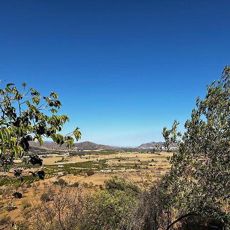 Santa Teresa Bed & Breakfast Andalusien 匹扎拉 外观 照片