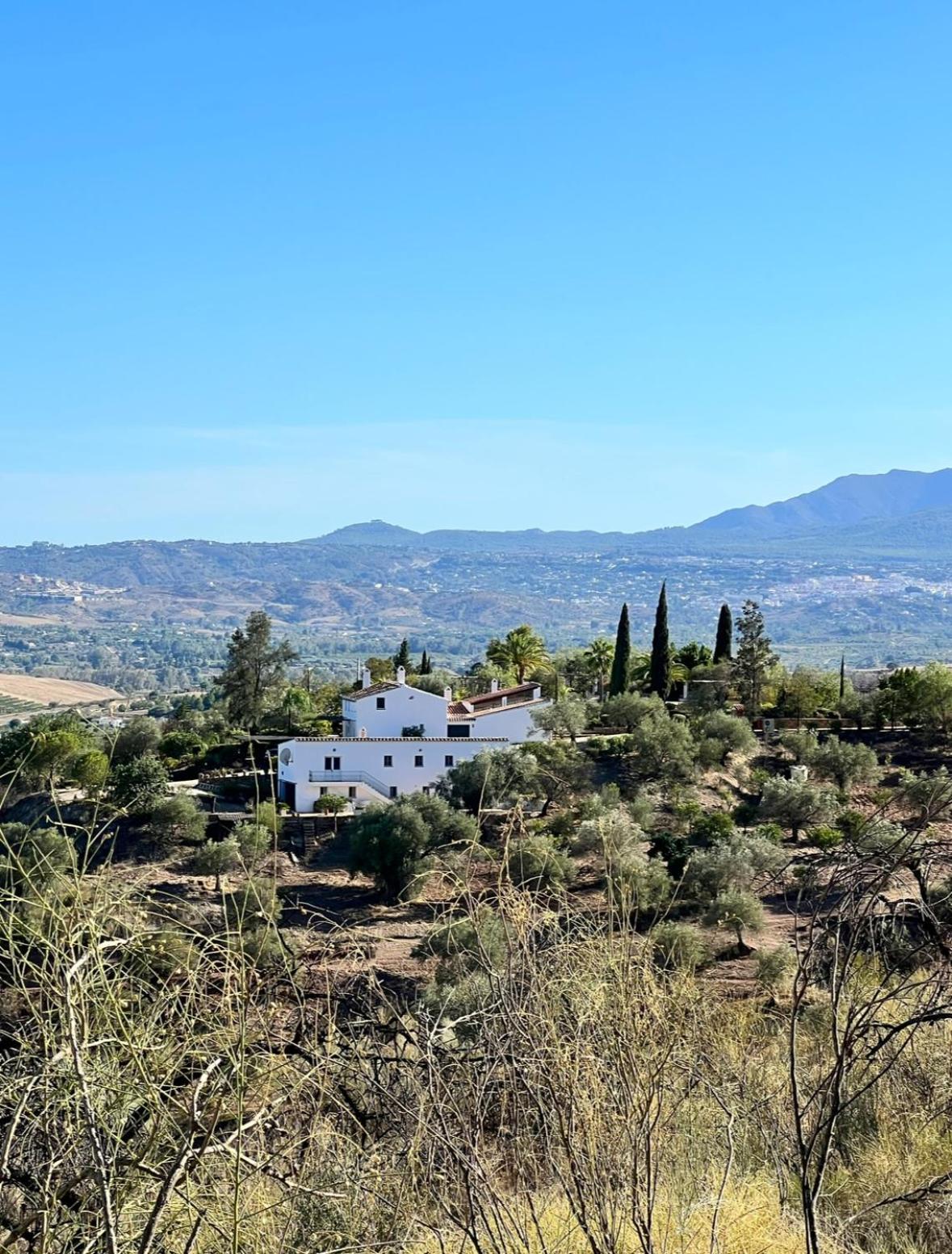 Santa Teresa Bed & Breakfast Andalusien 匹扎拉 外观 照片