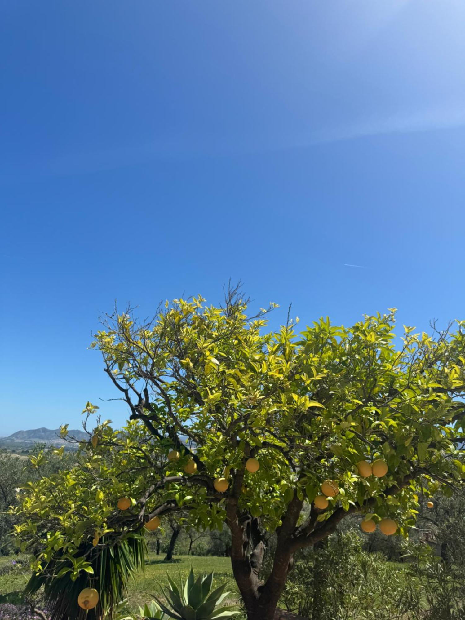 Santa Teresa Bed & Breakfast Andalusien 匹扎拉 外观 照片