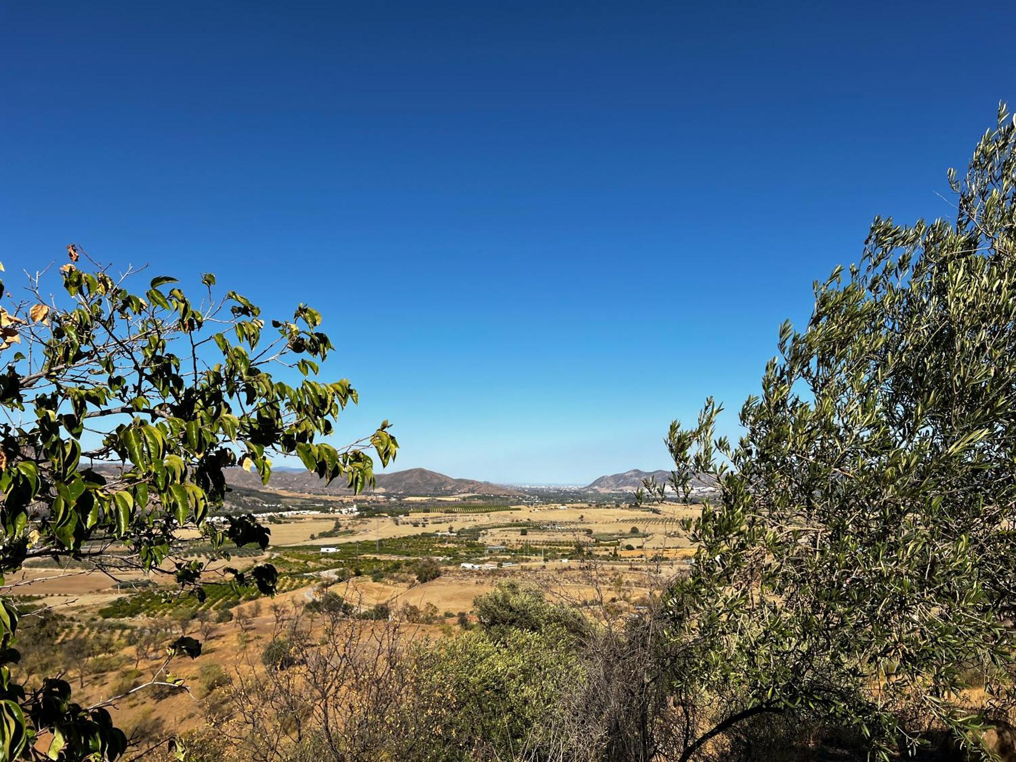 Santa Teresa Bed & Breakfast Andalusien 匹扎拉 外观 照片