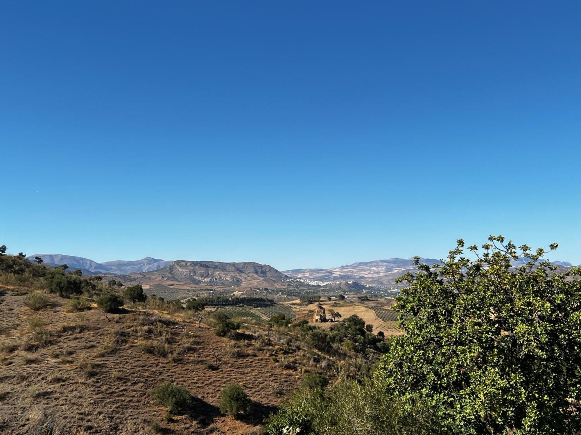 Santa Teresa Bed & Breakfast Andalusien 匹扎拉 外观 照片