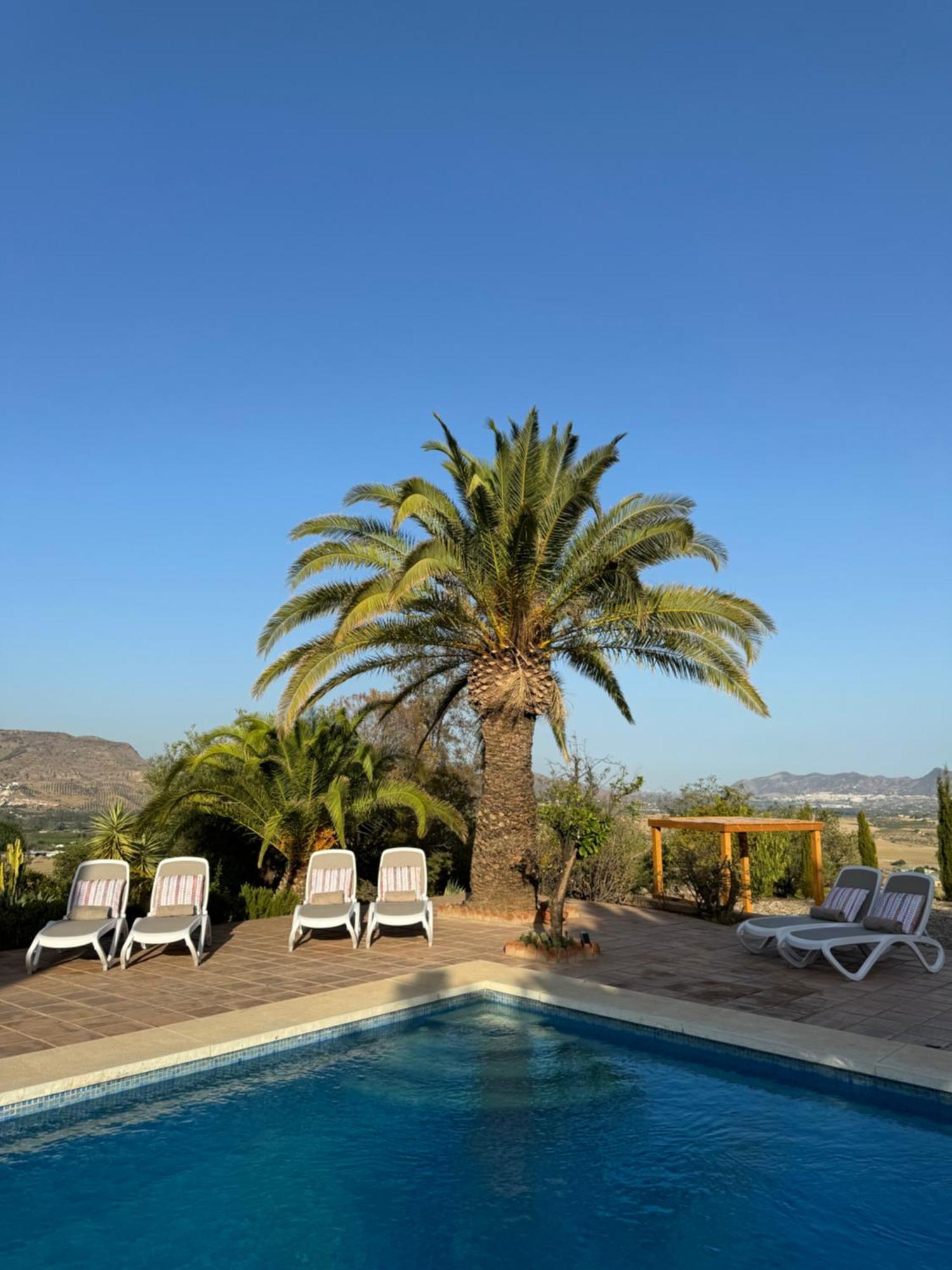 Santa Teresa Bed & Breakfast Andalusien 匹扎拉 外观 照片